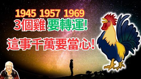 1969屬雞2023幸運色|1969年屬雞人2023年運勢及運程69年54歲生肖 